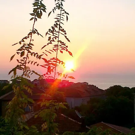 The Colourful Mansion