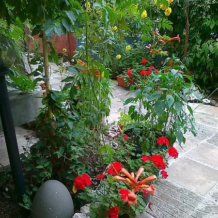 The Colourful Mansion Ξενοδοχείο