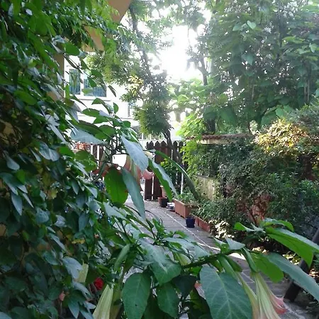 Ξενοδοχείο The Colourful Mansion