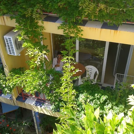 Ξενοδοχείο The Colourful Mansion 2*