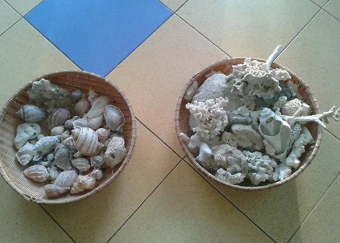 The Colourful Mansion אקהטופול