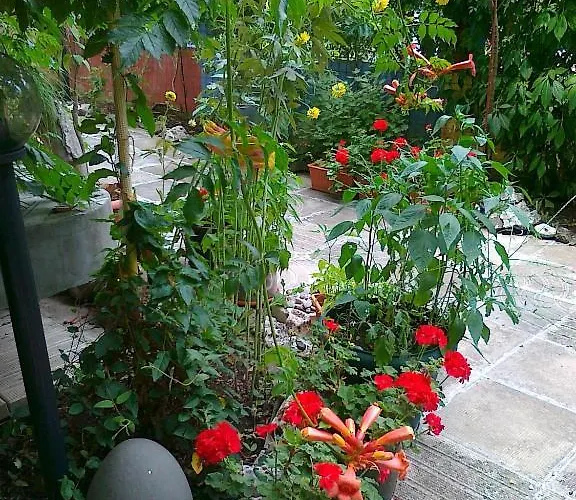 The Colourful Mansion מלון