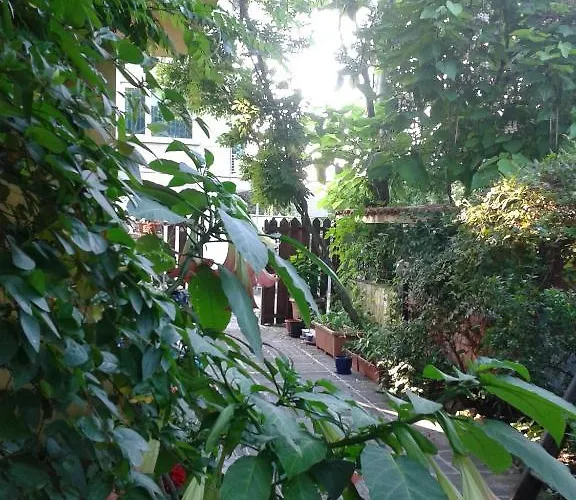 מלון The Colourful Mansion