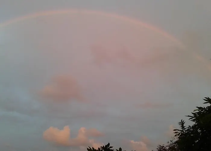 מלון The Colourful Mansion 2*