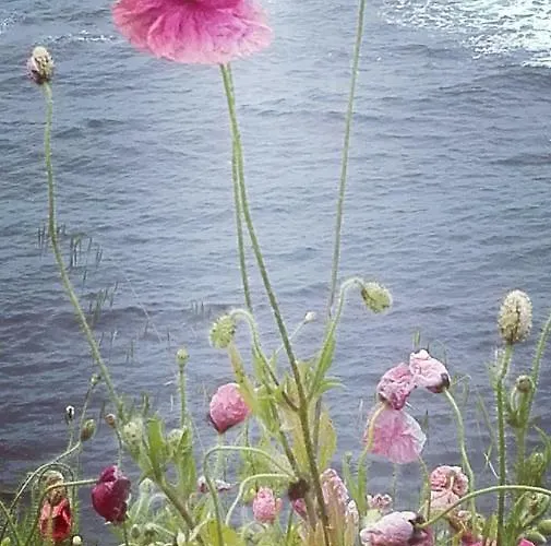 The Colourful Mansion מלון 2*