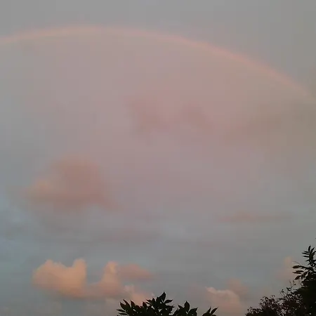 Hotel The Colourful Mansion 2*