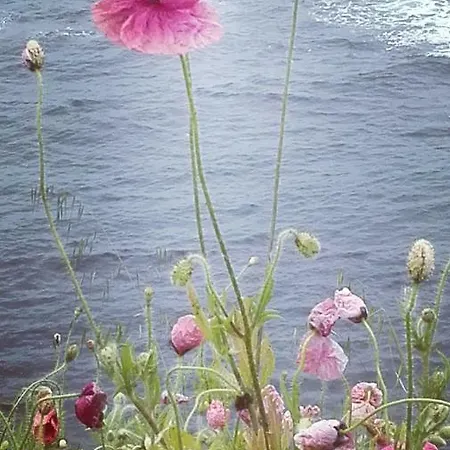 The Colourful Mansion Szálloda 2*